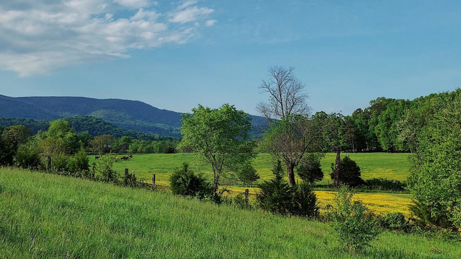 What does "Sustainability" mean?