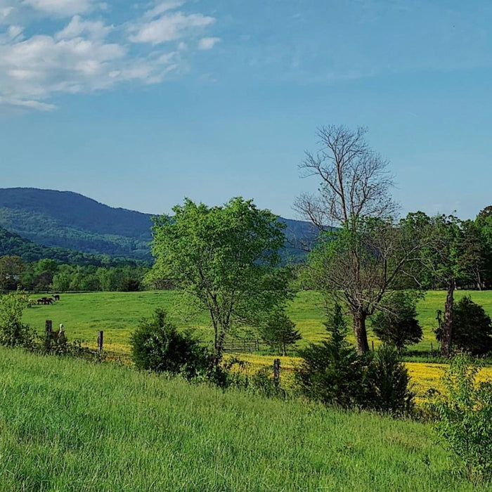 What does "Sustainability" mean?