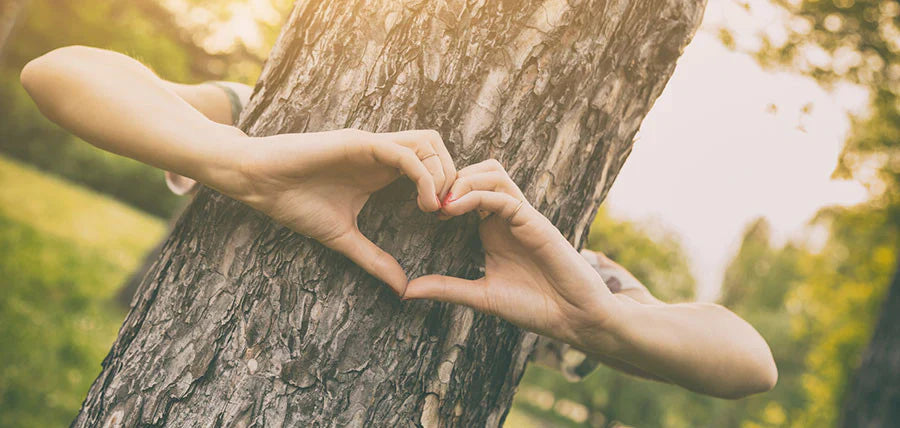Eco-Friendly Packaging Solutions for Your Next Move: A Comprehensive Guide
