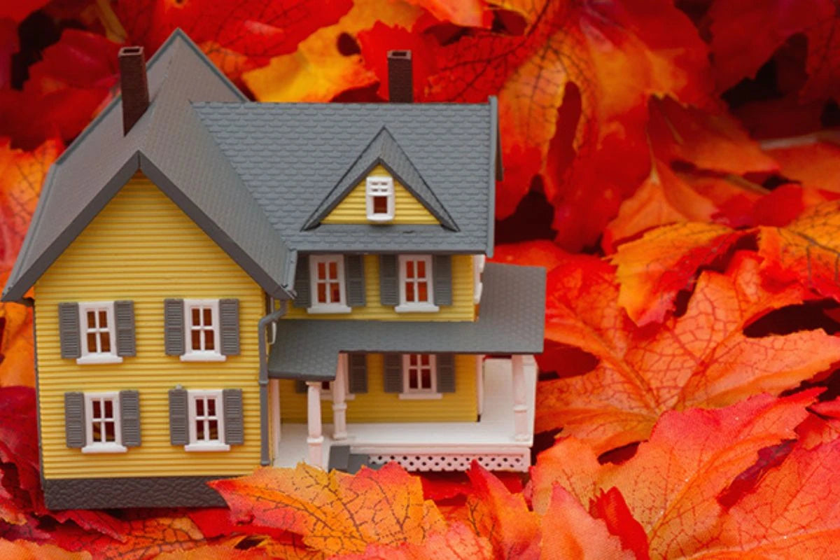 Tips for Moving House in Autumn