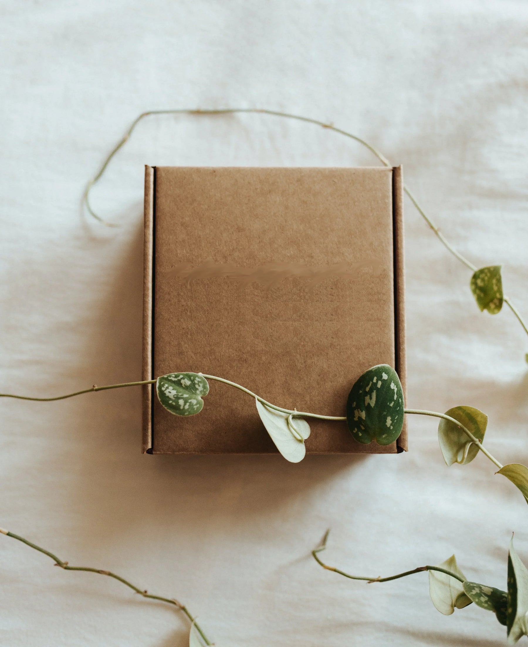 The Psychology of Eco-Friendly Business Packaging