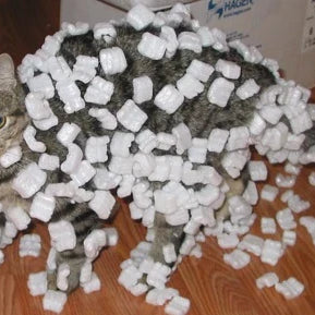 Alternatives to Packing Peanuts