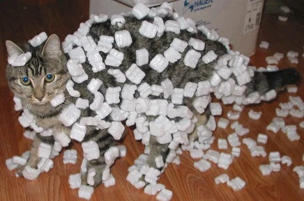 Alternatives to Packing Peanuts