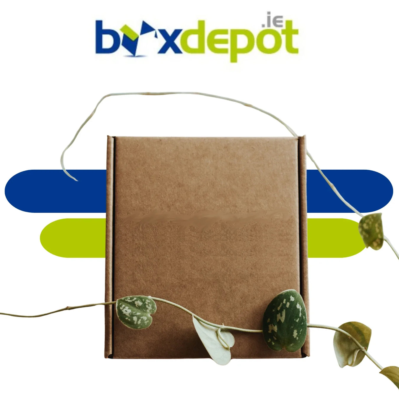 eco-friendly and sustainable packaging for ecommerce businesses