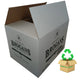 Small Single Wall Cardboard Box - Pre-loved!