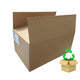 Medium Single Wall Cardboard Box - Pre-loved!