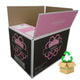 Small Single Wall Cardboard Box - Pre-loved!