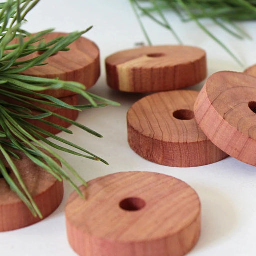 cedar moth repellent wooden disks beside greenery suggesting cedar pine trees