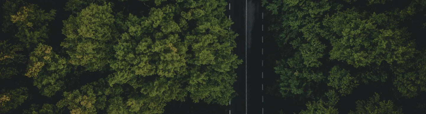 Background of Aerial view of a road surrounded by dense green trees