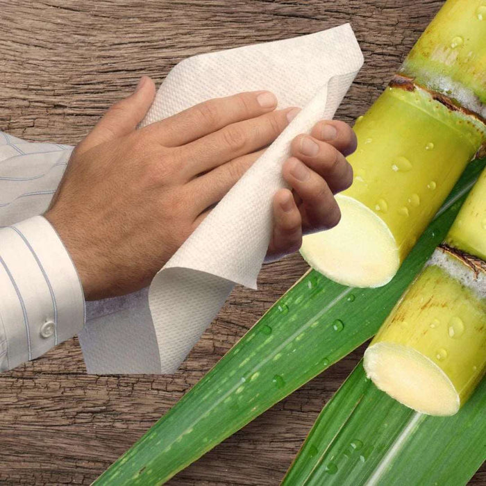 Autocut Sugarcane Paper Hand Towels