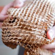 closeup of the honeycomb structure of honeycomb paper showing how it can protect items as well as bubble wrap