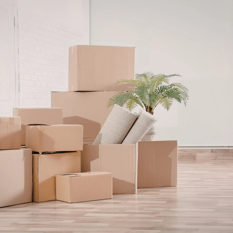 Stack of cardboard boxes with a plant and cushions on a plain background
