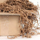 Shredded Cardboard