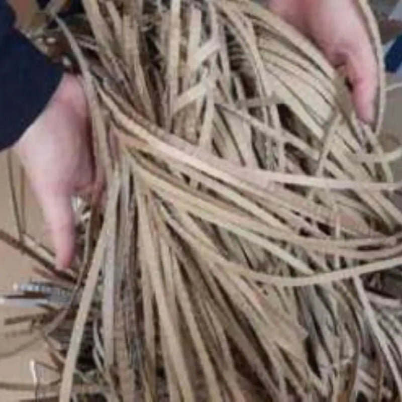closeup of hands displaying a pile of shredded cardboard that can be used for packaging